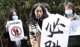 弦子最新爆料,娱乐圈背后的惊人真相