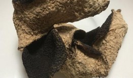 染色陈皮爆料方法视频,视频教你轻松识别真假陈皮