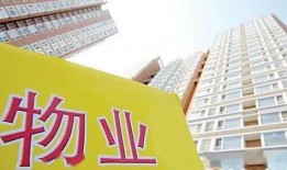 河北美源物业最新爆料,揭秘物业行业背后真相